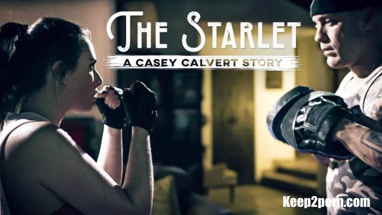 Casey Calvert - The Starlet: A Casey Calvert Story [PureTaboo / SD / 544p]