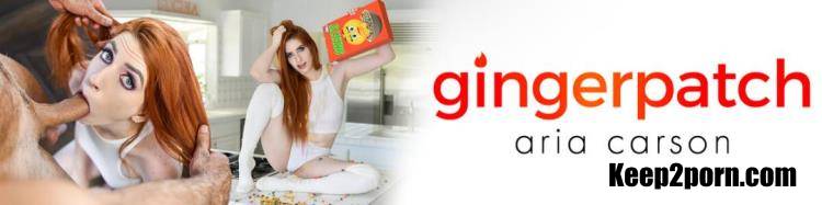Aria Carson - Ginger Chick Craves Man Milk [GingerPatch, TeamSkeet / FullHD 1080p]