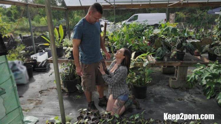 Katie Kingerie, Peter Fitzwell - Getting Banged in the Greenhouse [RKPrime, RealityKings / FullHD 1080p]