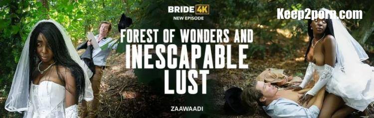 Zaawaadi - Forest Of Wonders And Inescapable Lust [Bride4k, Vip4K / FullHD 1080p]