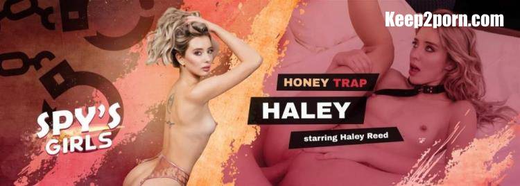Haley Reed - Honey Trap Haley [VRSpy / UltraHD 2K 1920p / VR]