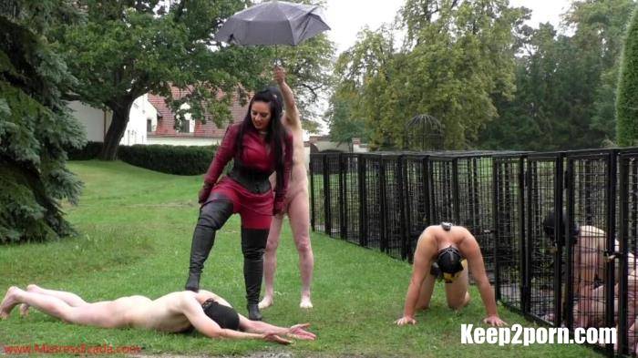 Brutal Whipping On A Cold Rainy Day [MistressEzadaSinn / FullHD 1080p]