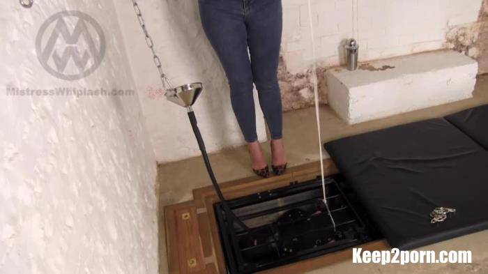 Bodybagged Slave Tortured In The Pit [MistressWhiplash / FullHD 1080p]