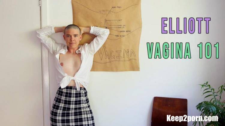 Elliott - Vagina 101 [GirlsOutWest / FullHD 1080p]
