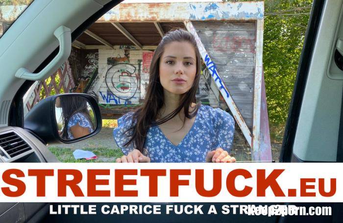 Little Caprice - STREETFUCK fuck a stranger [SD 474p]