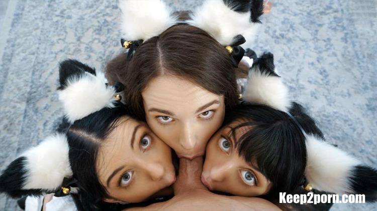 Brooke Johnson, Kitty Cam, Lily Thot - I'm Ready To Join You Guys [BFFS, TeamSkeet / FullHD 1080p]