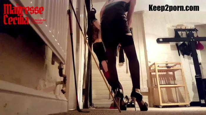 That Useless Sissy Comes Back With Not Even A Penny [MaitresseCecilia / FullHD 1080p]