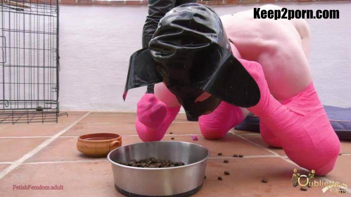 Shoe eating Puppy Gets Punished [GoddessGynarchy / FullHD 1080p]