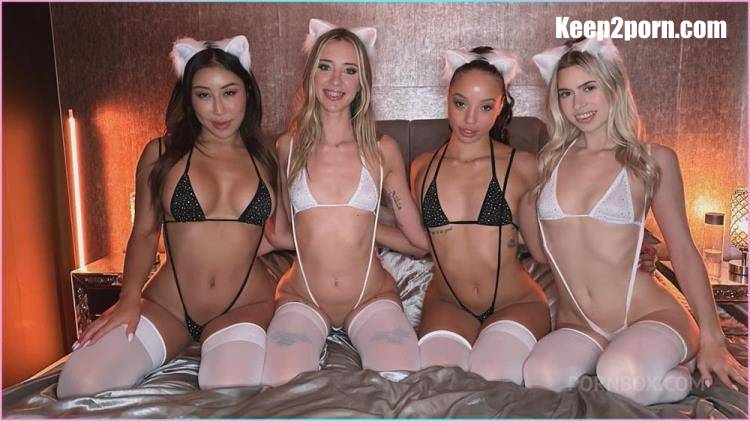 Haley Reed, Jill Kassidy, Alexis Tae, Nicole Doshi - Orgasms, Rough Penetrations, Facesitting And Pure Lust! These Are Very Good Kitties! [Fucking Pornstars, AnalVids, PornBox / FullHD 1080p]