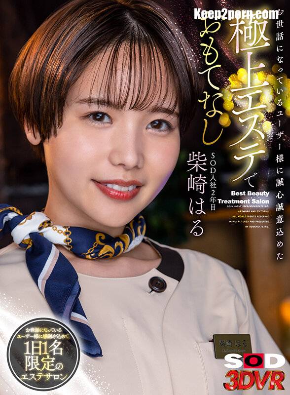 Shibasaki Haru - DSVR-1325 C [UltraHD 2048p / VR]