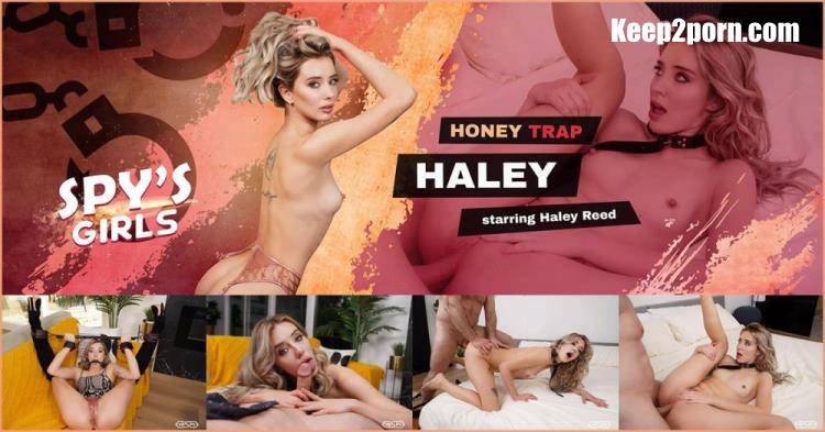 Haley Reed - Honey Trap Haley [VRSpy / UltraHD 4K 4000p / VR]
