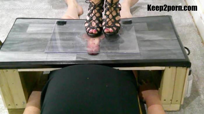 Ambers Trample Palace - Plexi Glass Cock and Ball Trampling Under My Dirty Soles Camera 3 Short Clip [FullHD 1080p]