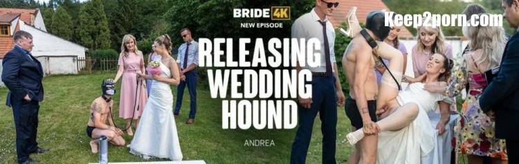 Andrea - Releasing Wedding Hound [Bride4K, Vip4K / FullHD 1080p]