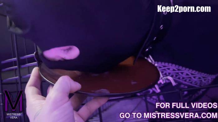 Mistress Vera - Femdom Cum Eating Compilation [FullHD 1080p]